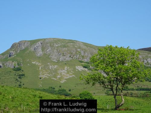 Manorhamilton Road